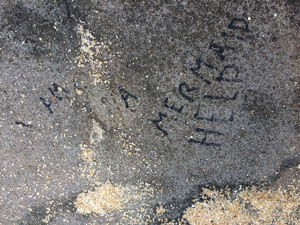 47364279_1815906591865420_5378984640277118976_n